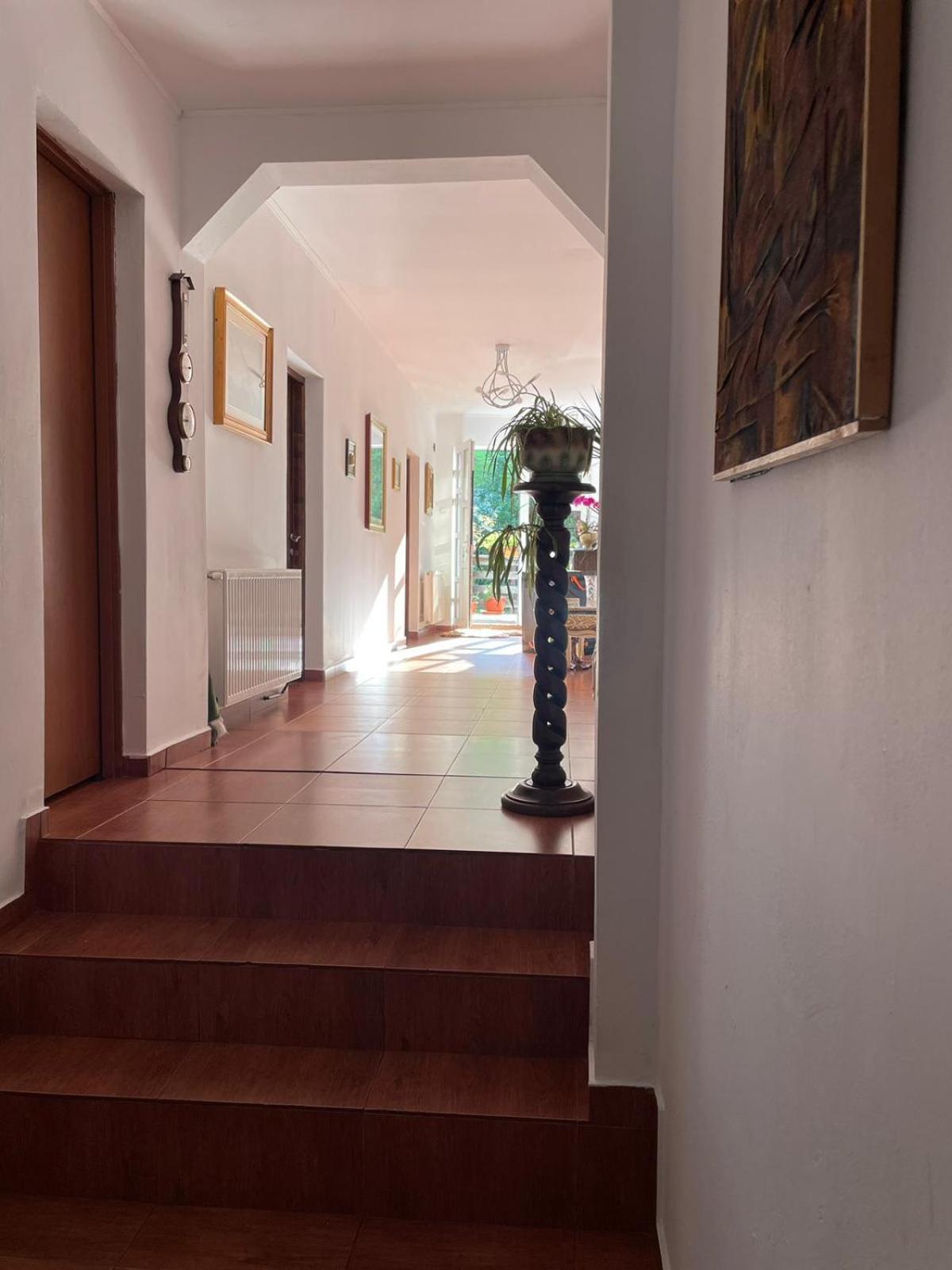 Casa Anastasia - Moieciu De Sus Moeciu De Sus Exterior photo